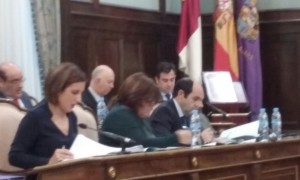 Yolanda Ramírez, Portavoz de C's, durante el Pleno de la Diputación.