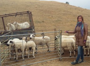 Almudena Sanz: “Esta feria de ganado sirve para mostrar el enorme trabajo que realizan los ganaderos en Guadalajara”